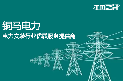 國網藍山縣供電公司加大對電力設備及電力設施的日常巡測