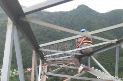 330千伏線路安裝防鳥刺，消除線路鳥害隱患