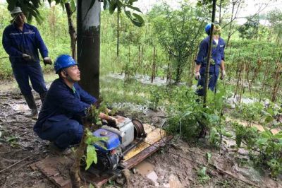 樂山電力搶修110千伏線路故障，迅速恢復(fù)供電