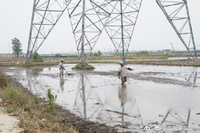 架設(shè)線路、安裝電纜引下線，解決農(nóng)民秸稈焚燒問題