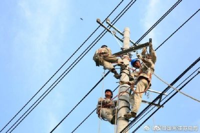 改造鹿灣變10千伏蔣莊105線路，原老舊線路全部更換為240絕緣導(dǎo)線