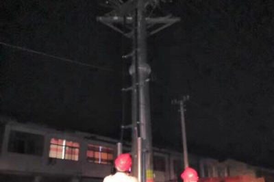 10kⅤ線路柱上開關、變壓器樁頭、高壓線路導線搭頭處等進行紅外測溫