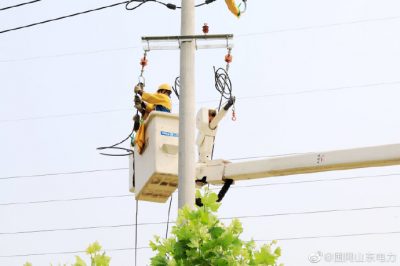 莘縣供電公司10千伏蔡莊線17號桿帶電T接變壓器