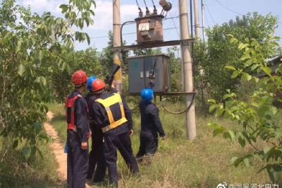 10千伏洛平513線路開展雨后特巡，力保供電可靠