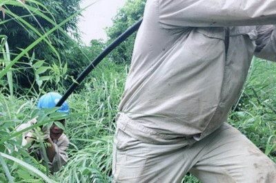 南川區(qū)供電公司緊急搶修被雷擊斷落在路上的10千伏鋒秧線8-10號桿A、C相