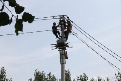 東阿縣供電公司新架設(shè)電桿5基、絕緣導(dǎo)線1000米