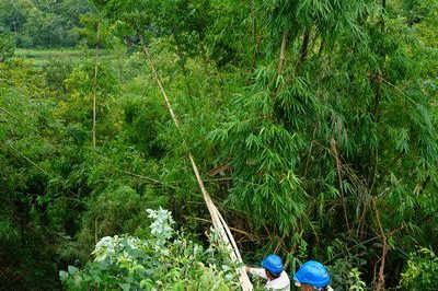 萬(wàn)州供電公司搶修10千伏線路安裝新導(dǎo)線成功送電