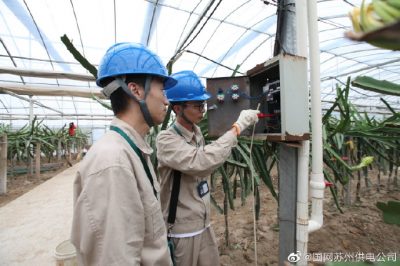 對火龍果種植基地內(nèi)的用電設(shè)備進行安全隱患檢查