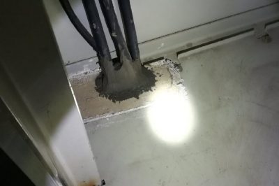 小動物，變電站非請勿來