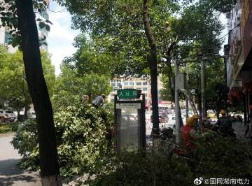 #向配網(wǎng)開戰(zhàn)#風(fēng)景這邊獨好，砍青掃障