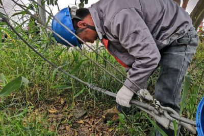 肇事拉線傷、電工搶修忙