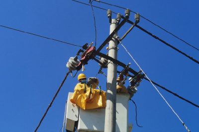 10千伏線路帶電安裝占位器降低鳥(niǎo)害