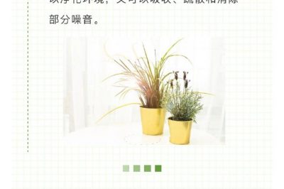 家里冰箱洗衣機噪音越來越大？讓它們安靜下來很簡單！