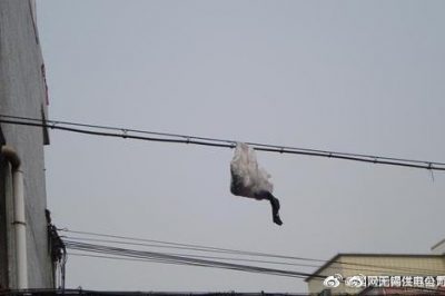 你的隨手一“拋”，可能導(dǎo)致跳閘停電！