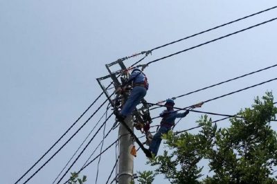 電網(wǎng)線路改造忙，迎峰度夏有保障