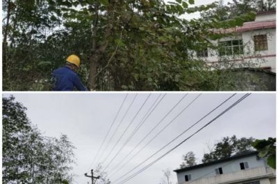 對10千伏禾臘線消水坨臺區(qū)、石家寨臺區(qū)進(jìn)行巡視