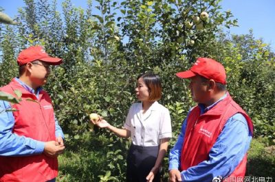 到新華村長(zhǎng)嶺山莊，幫助客戶檢查用電設(shè)備
